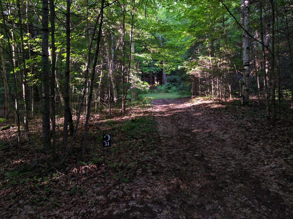 Moonlight Bay Tent & Trailer Park | 1071 Earles Rd, Wilberforce, ON K0L 3C0, Canada | Phone: (705) 448-1690