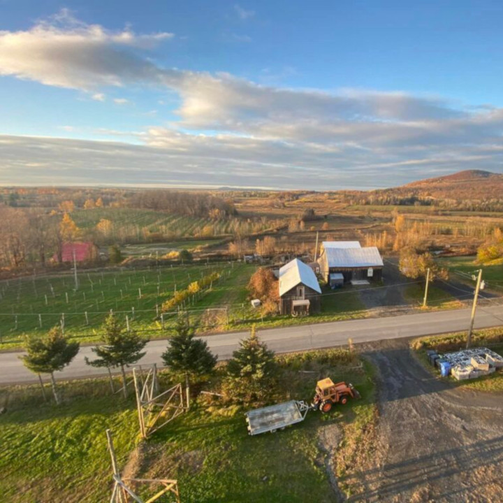 Vignoble du PicBois | 1470 Chem. de Gaspé, Brigham, QC J2K 4B4, Canada | Phone: (514) 707-9570