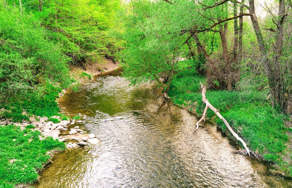Pathway | 442-464 Fanshawe Park Rd W, London, ON N6G 3N1, Canada
