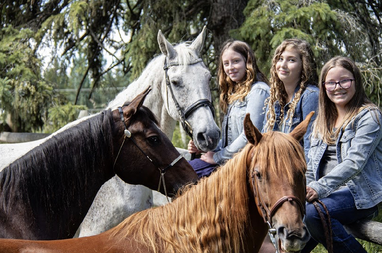 Timber Ridge Stables | 51321, Range Rd 24, Parkland County, AB T7Y 2K4, Canada | Phone: (780) 965-1306