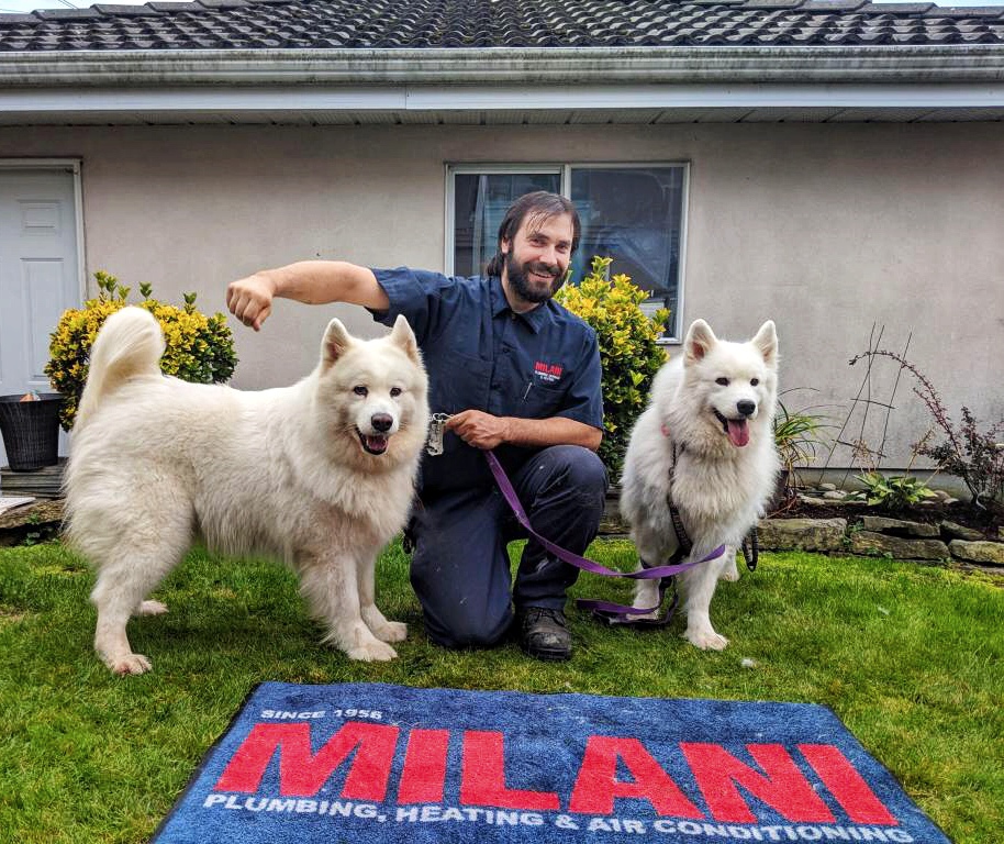 Milani Plumbing, Heating & Air Conditioning | 22200 Wilson Ave, Richmond, BC V6V 2P6, Canada | Phone: (604) 274-2603