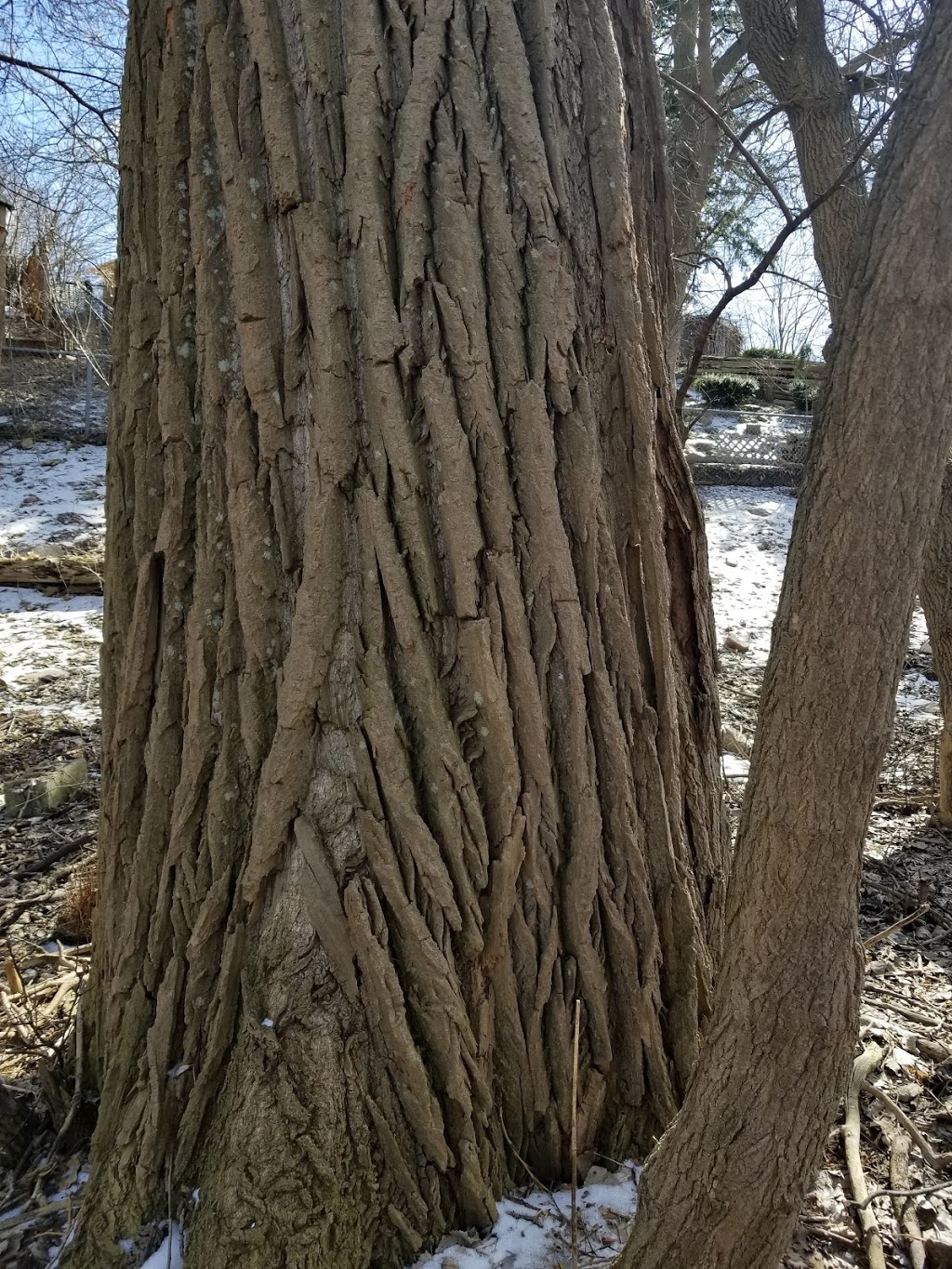 Craddock Park | Aurora, ON L4G 7G8, Canada