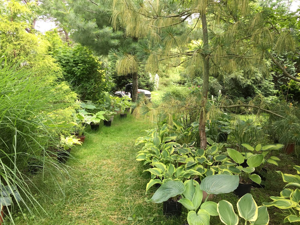 Olde Towne Gardens | 716 Lakeshore Rd, Niagara-on-the-Lake, ON L0S 1J0, Canada | Phone: (905) 937-6758