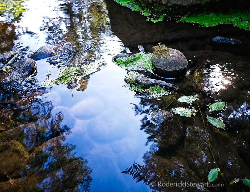 PhotoHaiku Press | 777 Cook St #215, Victoria, BC V8V 3Y9, Canada | Phone: (250) 882-3339