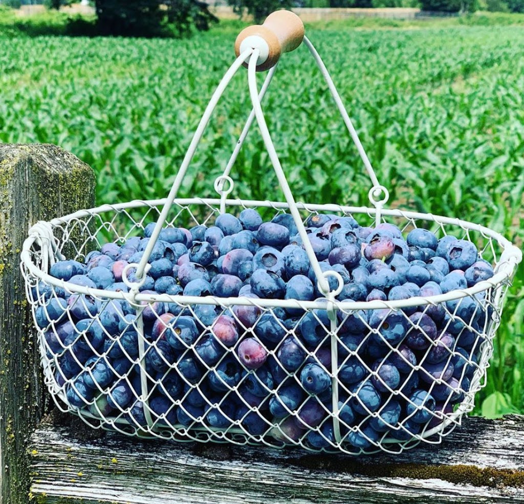 The Butterbox - Windberry Farms | 1198 Powerhouse Rd, Abbotsford, BC V3G 1T7, Canada | Phone: (604) 226-4152