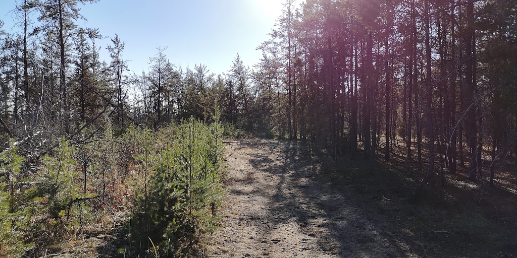 Opal Natural Area | Thorhild County No. 7, AB T0A 2R0, Canada