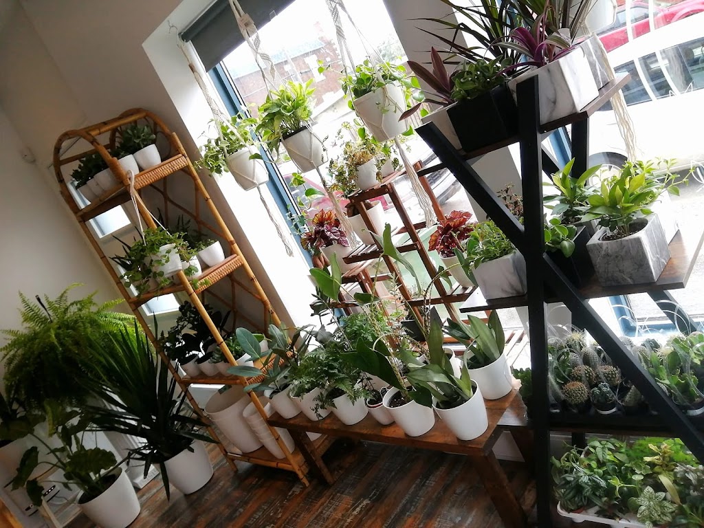 OKALY Fleurs | 9655 Rue Notre Dame E, Montréal, QC H1L 3P7, Canada | Phone: (438) 934-9210