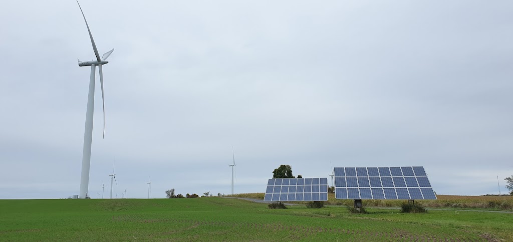 Blazing Saddles Farm | 433 County Rd 95, Wolfe Island, ON K0H 2Y0, Canada | Phone: (613) 572-5338