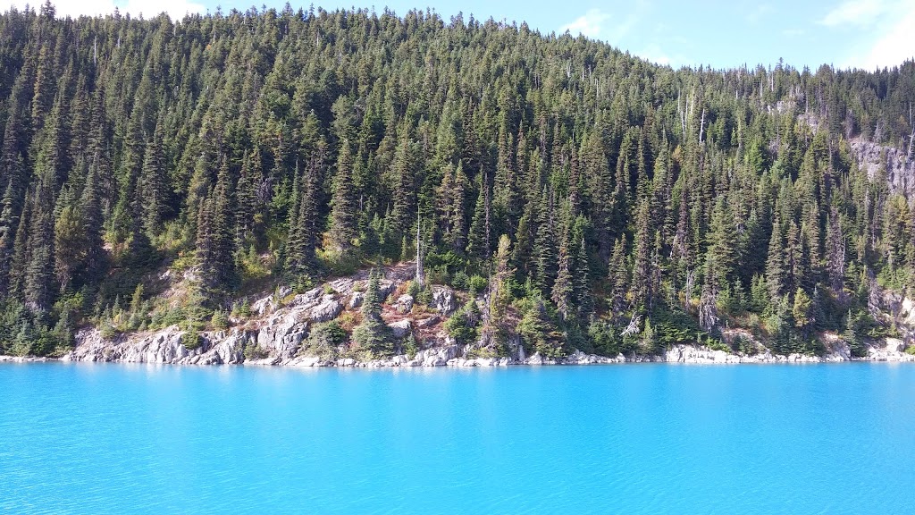 Cedar Springs B & B Lodge | 8106 Camino Dr, Whistler, BC V0N 1B8, Canada | Phone: (604) 938-8007