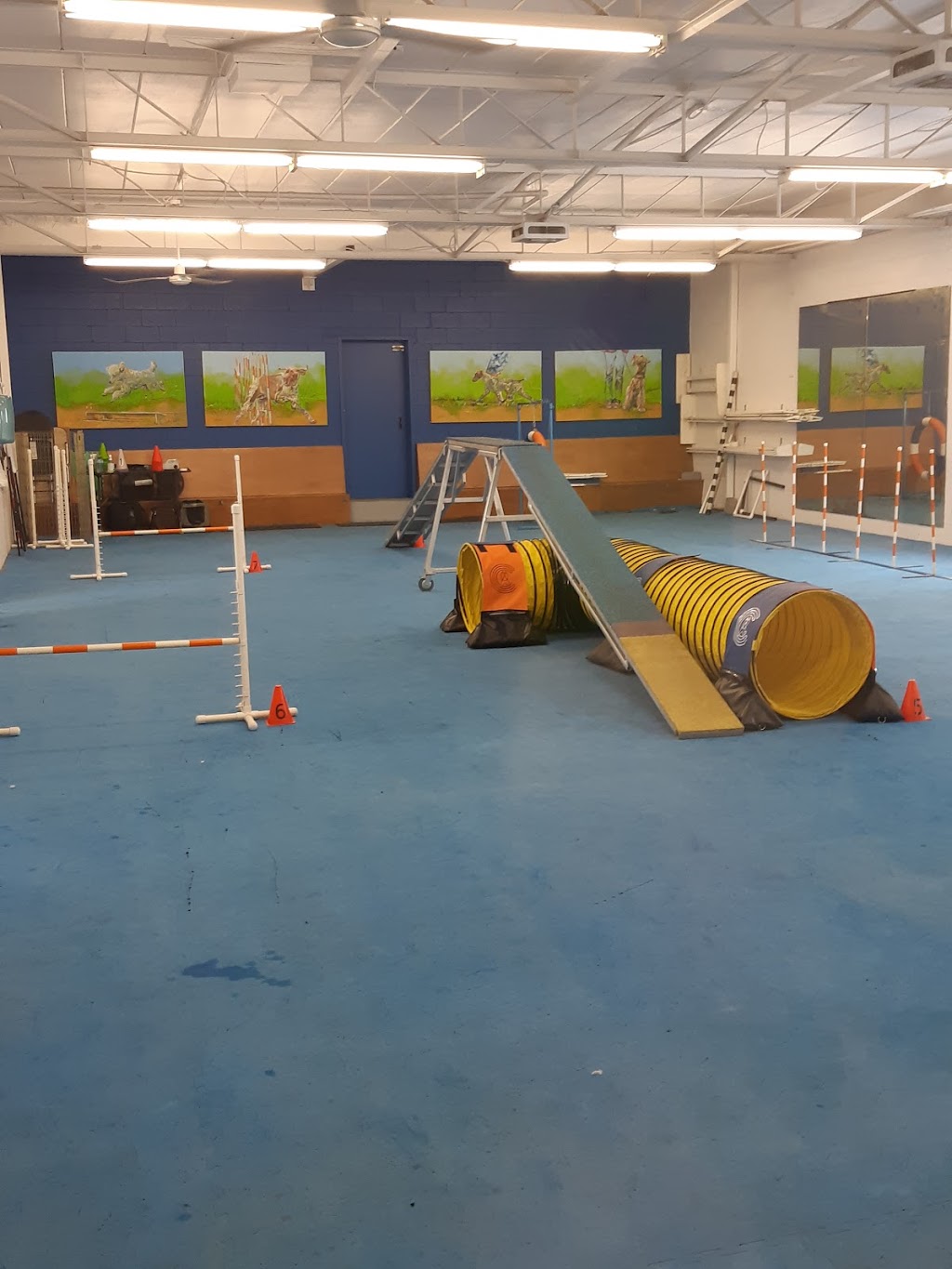 Club Canin Chomedey Inc | 6990 Av. des Perron, Laval, QC H7J 1G6, Canada | Phone: (450) 963-1298