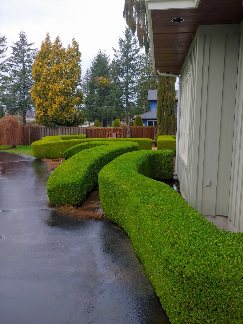 True Coast Property Services | 32702 Appleby Ct, Mission, BC V4S 0C8, Canada | Phone: (604) 354-2970