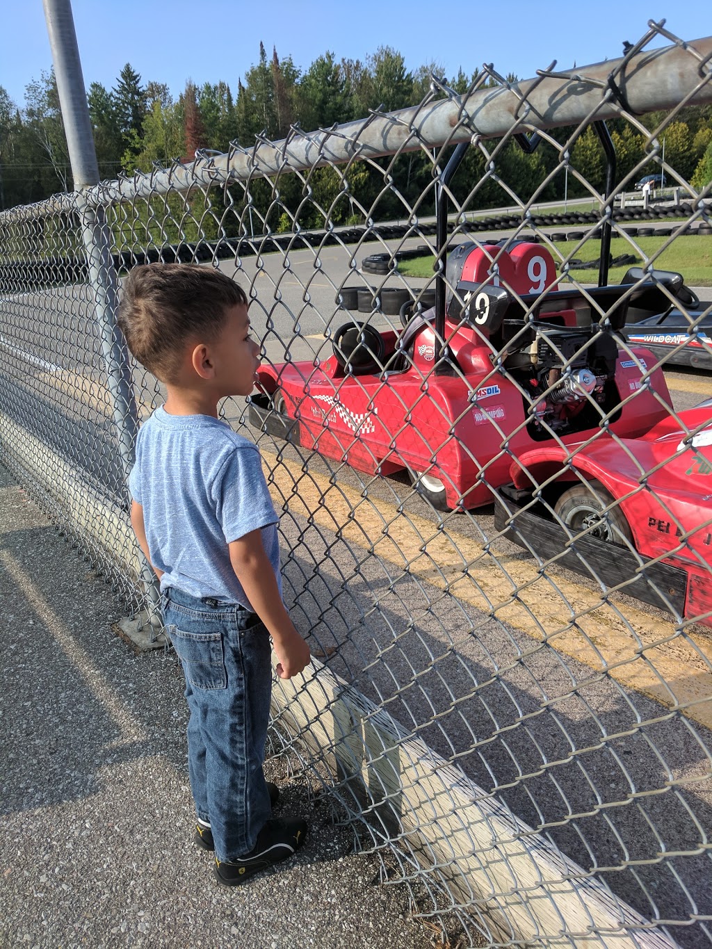 Balm Beach Go Karts & Mini Putt | 239 Balm Beach Rd W, Tiny, ON L0L 2J0, Canada | Phone: (705) 526-6801