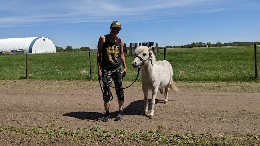 Chesla Farms | RR231 HWY28, Gibbons, AB T0A 1N0, Canada | Phone: (780) 942-4491