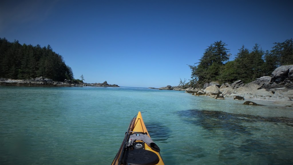 Blue Dog Kayaking | 740 Handy Rd, Mill Bay, BC V0R 2P1, Canada | Phone: (250) 710-7693