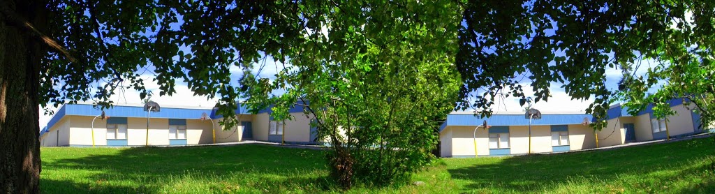 McCloskey Elementary School | 11531 80 Ave, Delta, BC V4C 1X5, Canada | Phone: (604) 596-9554