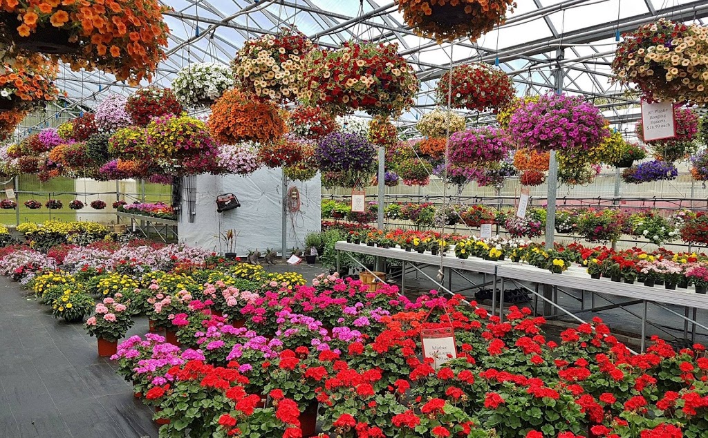 Freskiw Farms Muskoka | 1789 Highway 11 South, Kilworthy, ON P0E 1G0, Canada | Phone: (705) 689-3994