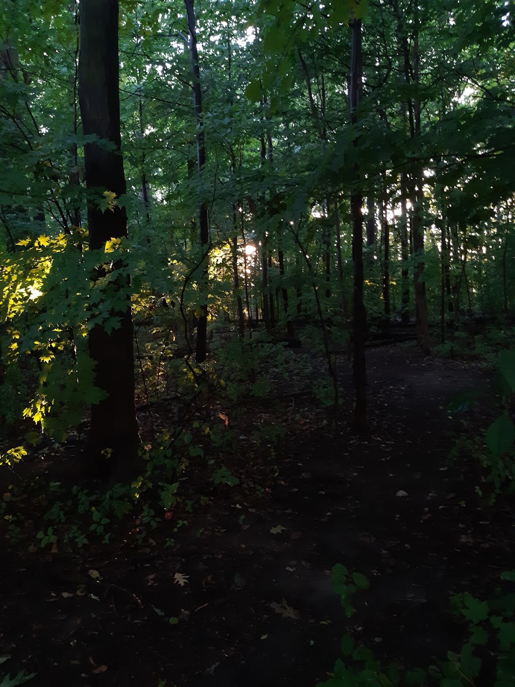 Hanmer Park | 6 Hook Ct, Barrie, ON L4N 7H7, Canada