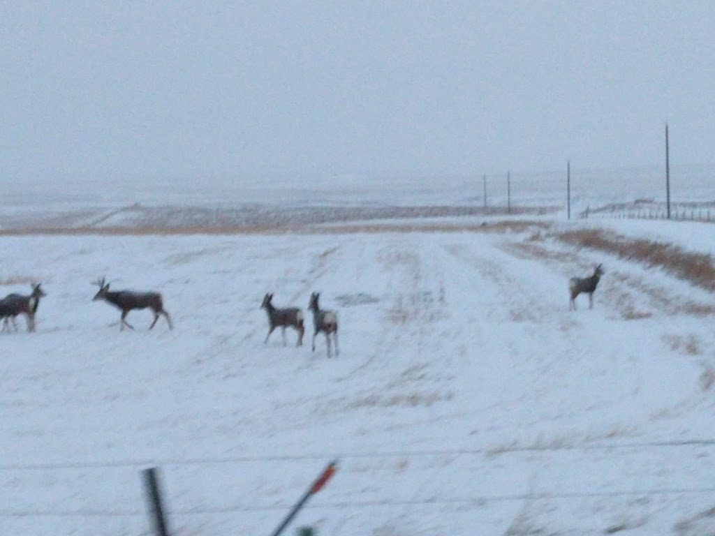 Mountain View Inn & Retreat Centre | 280013 Highway 5, Mountain View, AB T0K 1N0, Canada | Phone: (888) 738-1599