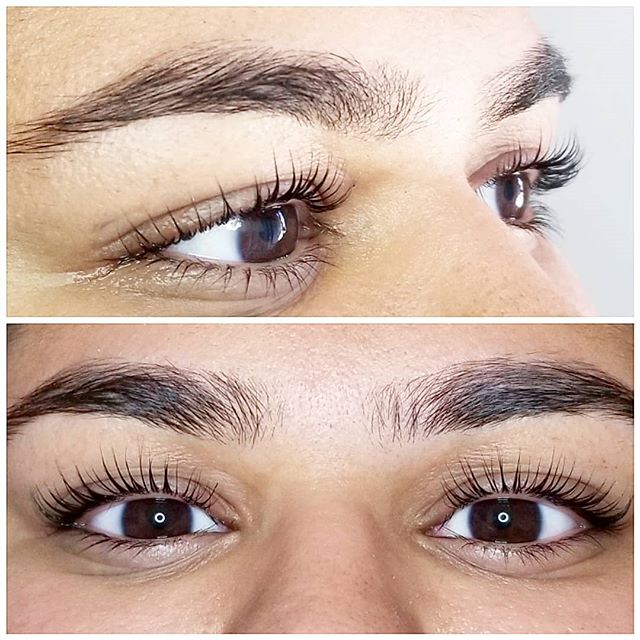T.O Lash Studio | 15 Saddleback Ct, Scarborough, ON M1B 2M3, Canada | Phone: (647) 242-4075