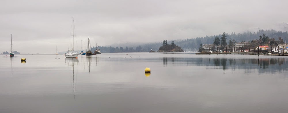 Salt Spring Web Design | 401 Wilkie Way, Salt Spring Island, BC V8K 2J4, Canada | Phone: (250) 537-7937