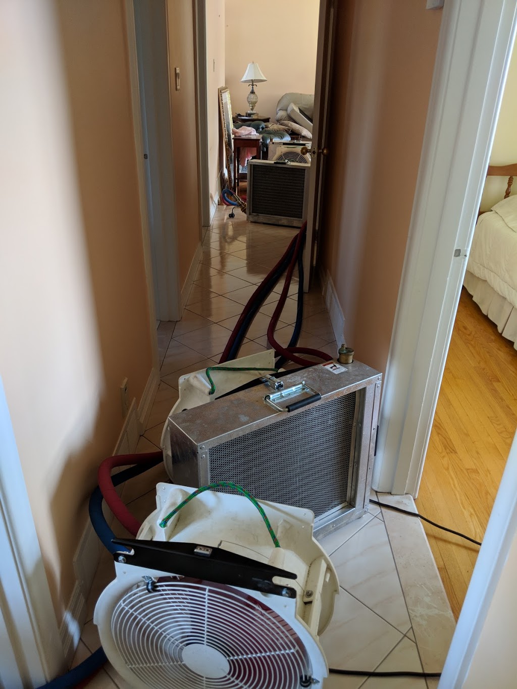 Green Heat Bed Bug Exterminator | 1411 Hidden Valley Rd, Burlington, ON L7P 0T5, Canada | Phone: (289) 828-2298