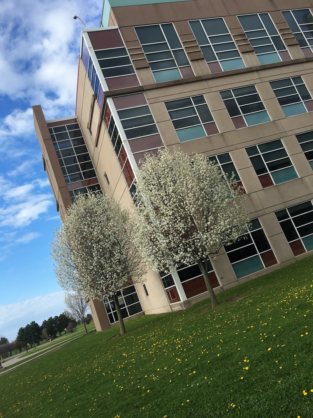 Niagara Falls High School | 4455 Porter Rd, Niagara Falls, NY 14305, USA | Phone: (716) 278-5800