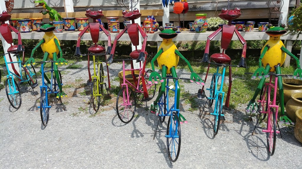 Argyle Farm Market | 264 Glenarm Rd, Woodville, ON K0M 2T0, Canada | Phone: (705) 439-3850