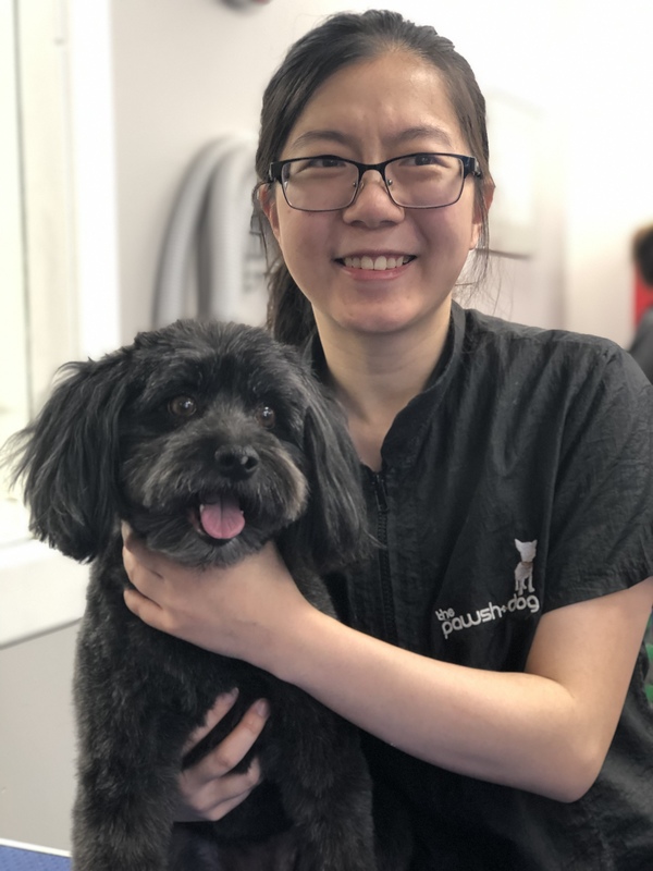 The Pawsh Dog Inc. | 1546 Regent Ave W, Winnipeg, MB R2C 3B4, Canada | Phone: (204) 813-7851