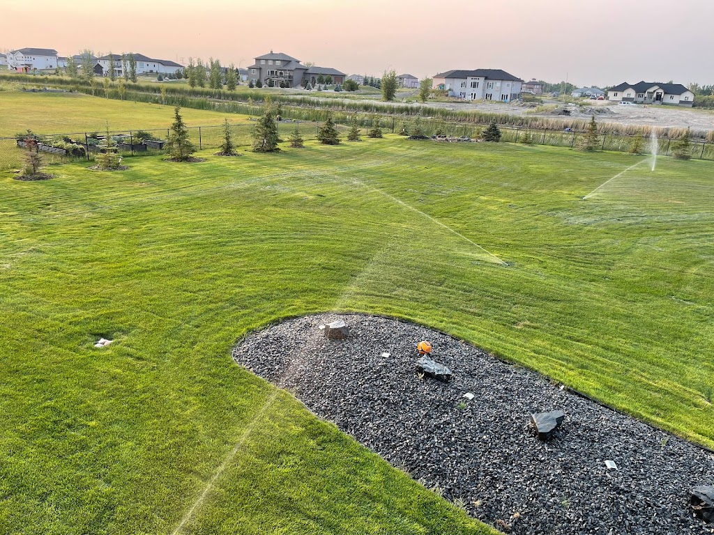 Blue Grass Sod Producers Ltd | 1278 Marchand Rd, Howden, MB R5A 1J6, Canada | Phone: (204) 269-3052
