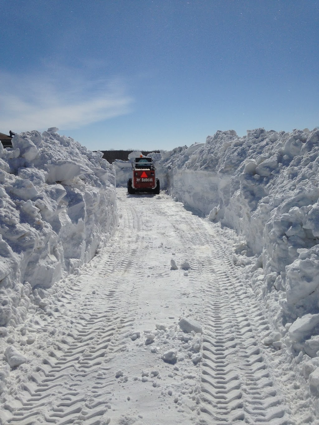 Creo Concepts Inc. Landscaping | 352 S River Rd, Elora, ON N0B 1S0, Canada | Phone: (519) 843-2087