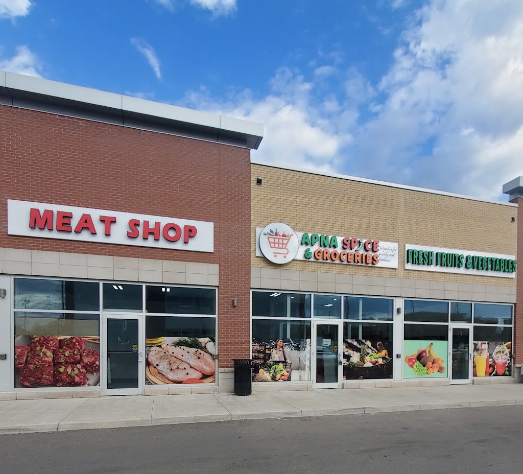 Apna Spice & Groceries | 360 Conklin Rd, Brantford, ON N3T 0N5, Canada | Phone: (519) 751-9999