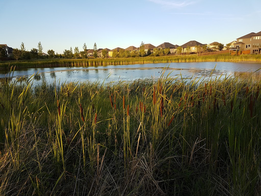 Ken Oblik Greenway Park | 105 Autumnview Dr, Winnipeg, MB R3Y 1S3, Canada