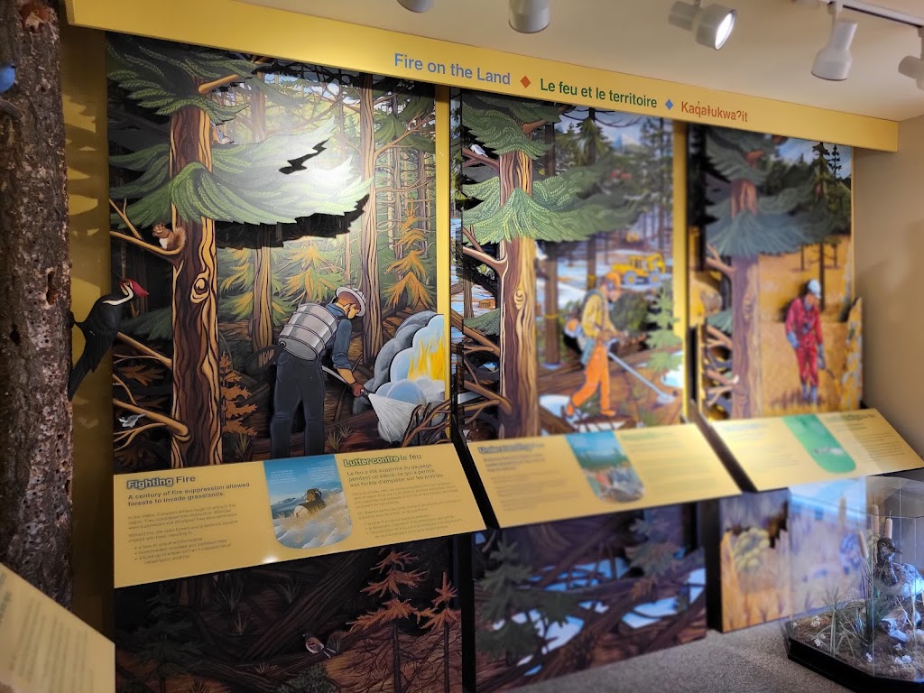 Radium Hot Springs Visitor Centre | 7556 Main St E, Radium Hot Springs, BC V0A 1M0, Canada | Phone: (250) 347-9331