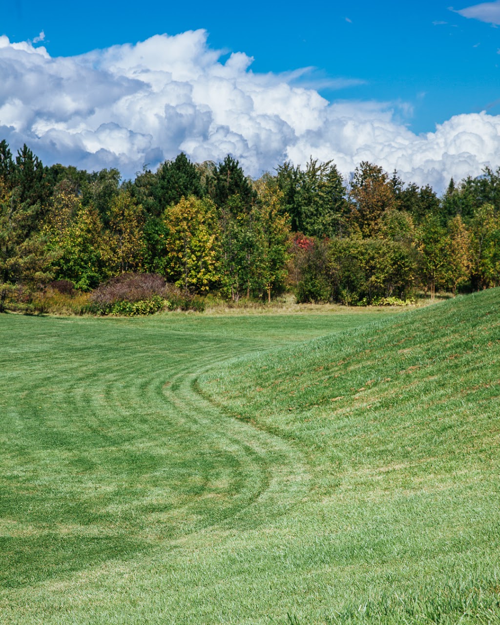 Red River Park | Waterloo, ON N2T, Canada | Phone: (519) 886-2310