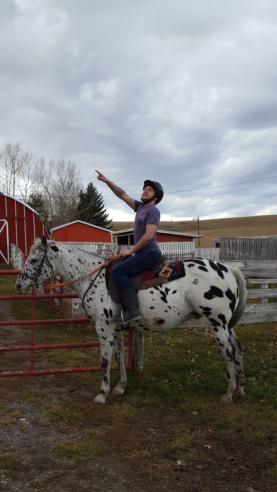 Ranahan Polocrosse Club | Township Rd 202A, Black Diamond, AB T0L 0H0, Canada | Phone: (403) 803-7351