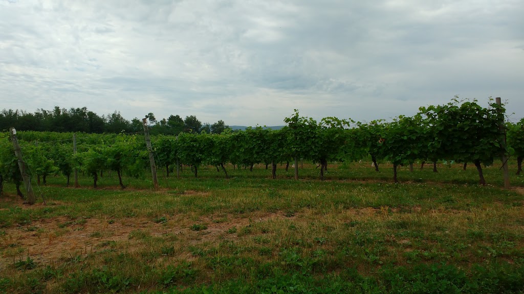 Sainte-Famille Wines Ltd | 11 Dudley Park Ln, Falmouth, NS B0P 1L0, Canada | Phone: (800) 565-0993