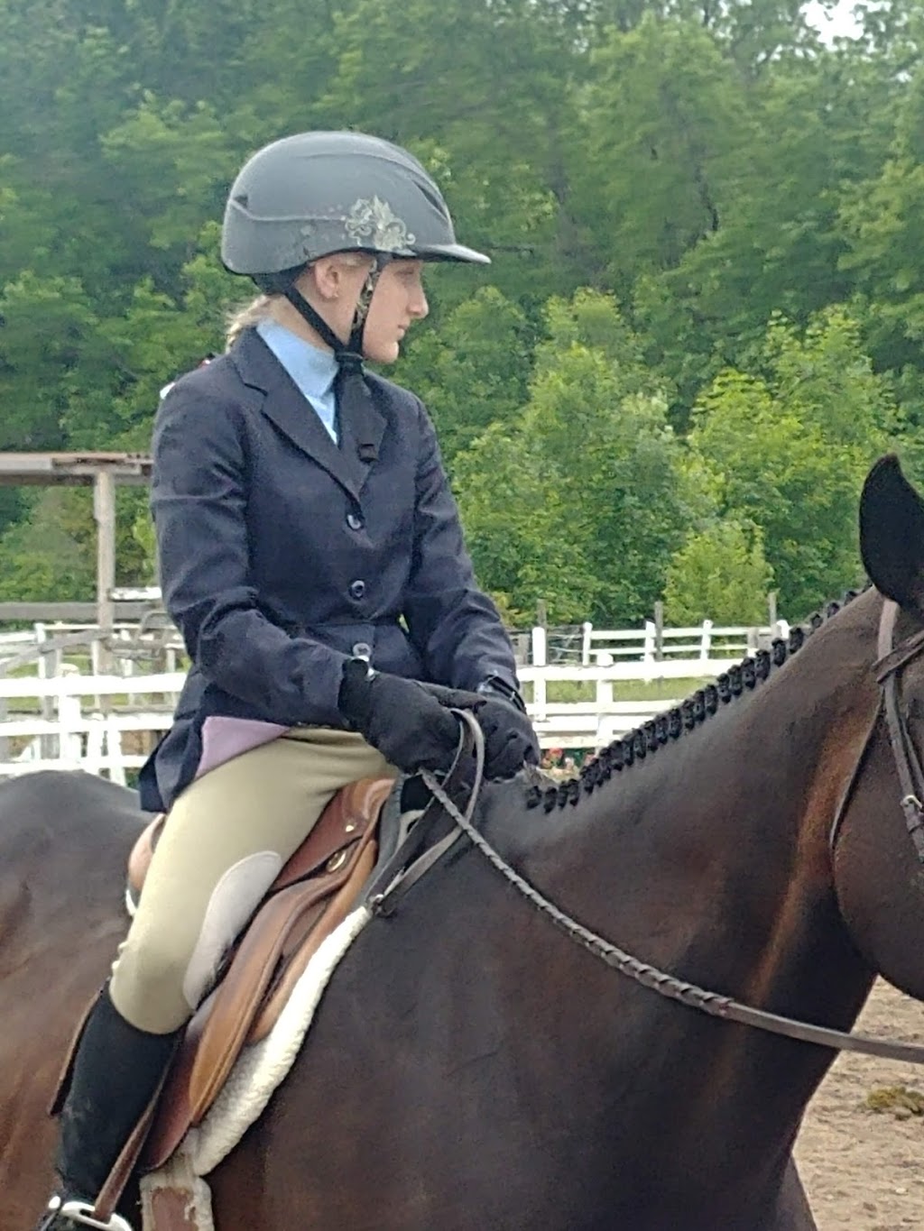 Red Ribbon Stables | 896 RR #4, Concession 6 Rd, Niagara-on-the-Lake, ON L0S 1J0, Canada | Phone: (905) 687-1669