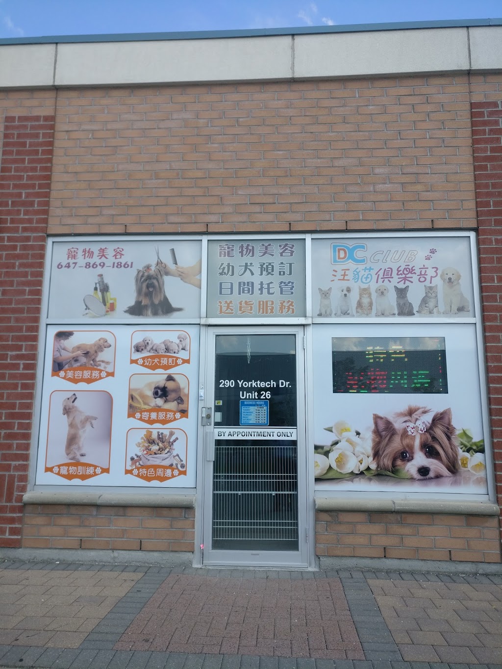 DC CLUB 汪猫俱乐部 | 290 Yorktech Dr, Markham, ON L6G 0A7, Canada | Phone: (647) 800-0823