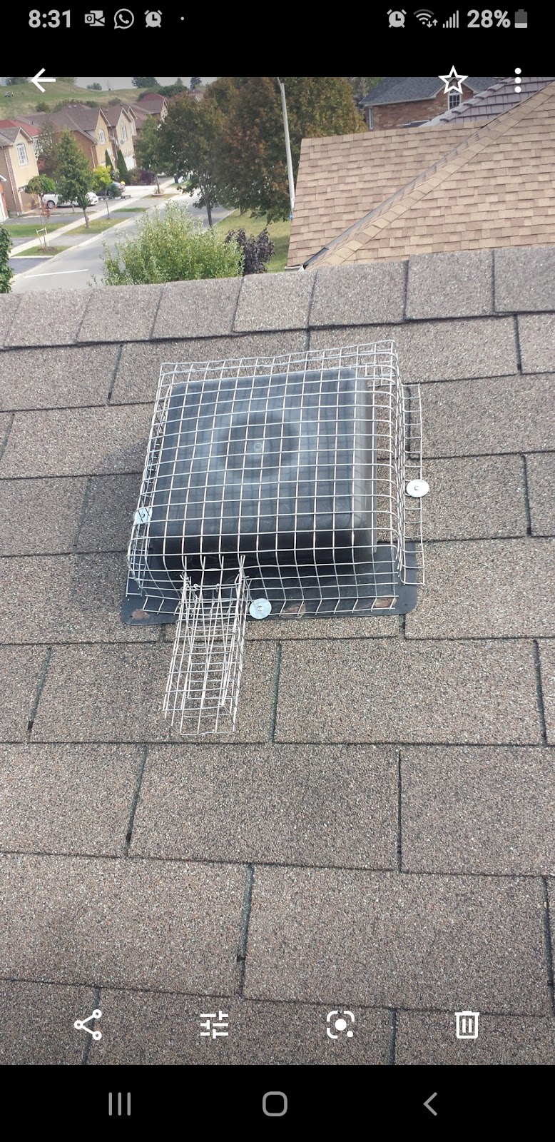 Pest Proof Canada | 163 Asleton Blvd #1000, Milton, ON L9T 9L2, Canada | Phone: (647) 241-6863