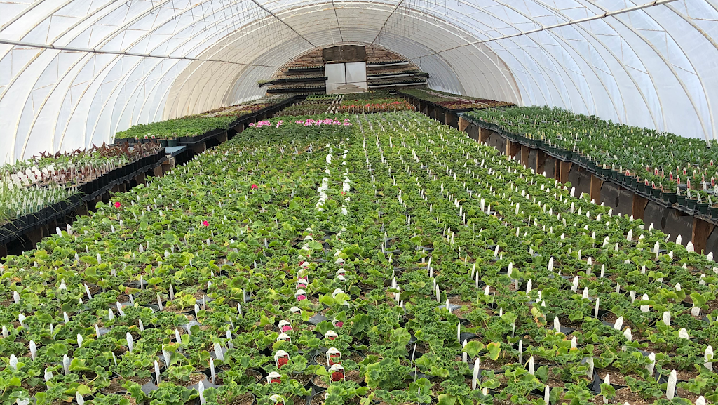 Parkside Gardens Greenhouse & Landscaping | MB-5, Riding Mountain, MB R0J 1T0, Canada | Phone: (204) 967-2135