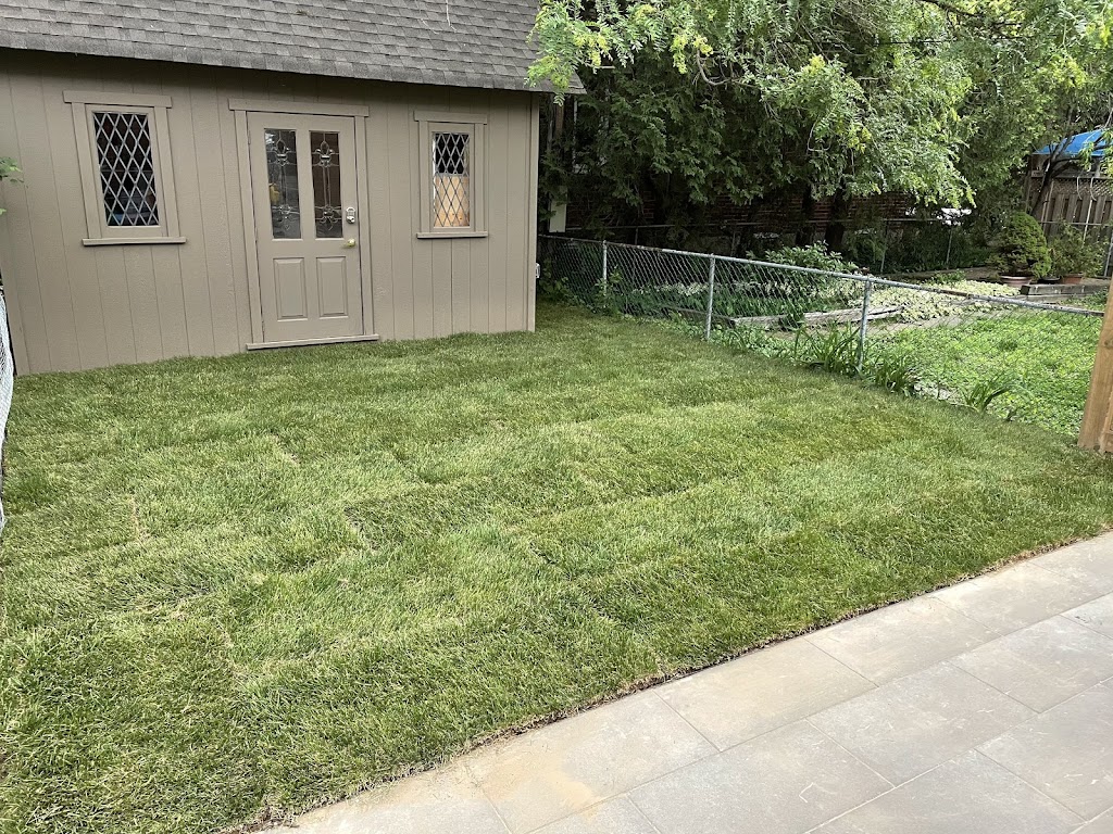 GoGo Grass Landscaping & interlocking | 21 Courtney Crescent, Richmond Hill, ON L4E 4C9, Canada | Phone: (416) 857-0929