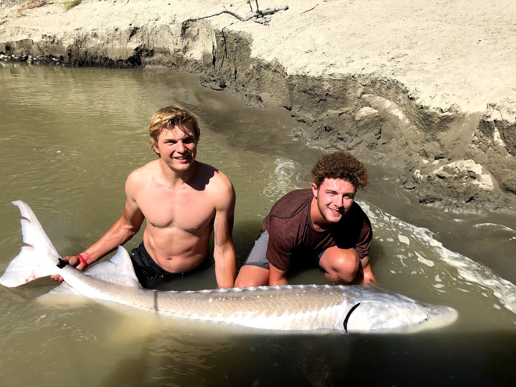 Lillooet Sturgeon Lodge B&B | 368 Park Dr, Lillooet, BC V1K 1V0, Canada | Phone: (250) 308-9199