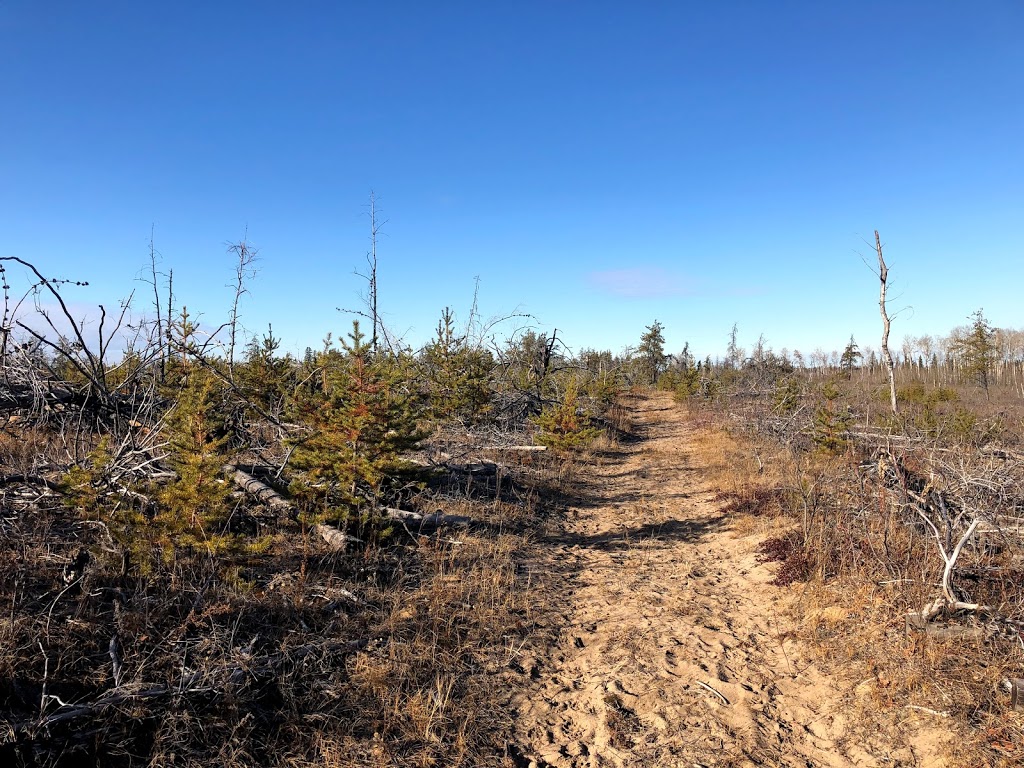 Opal Natural Area | Thorhild County No. 7, AB T0A 2R0, Canada
