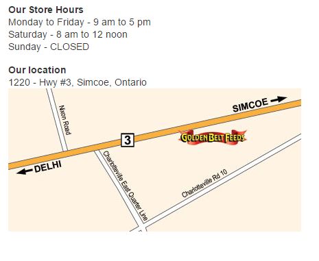 Golden belt feeds | 3220 ON-3, Simcoe, ON N3Y 4J9, Canada | Phone: (519) 426-6692