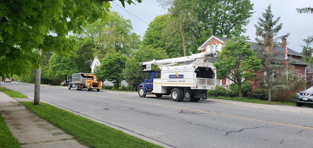 Advanced Tree Care | 1598 Queensville Side Rd, Queensville, ON L0G 1R0, Canada | Phone: (905) 478-2300