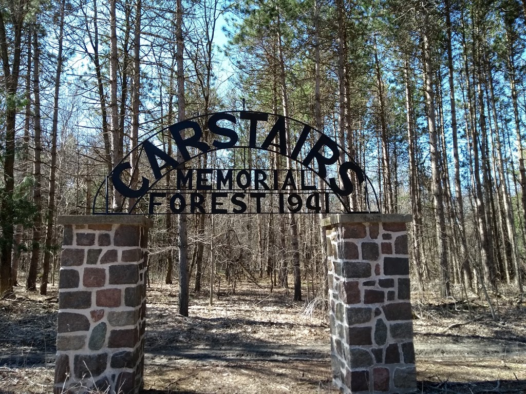 Carstairs Tract, Northumberland County Forest | 1270-1296 Bowmanton Rd, Roseneath, ON K0K 2X0, Canada | Phone: (905) 372-3329 ext. 2303