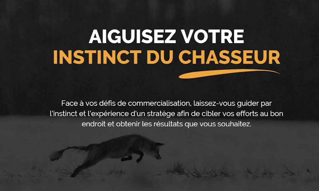 Belhumeur Stratégies daffaires | 212 Rue Tobin, Sherbrooke, QC J1C 0K9, Canada | Phone: (819) 679-9496