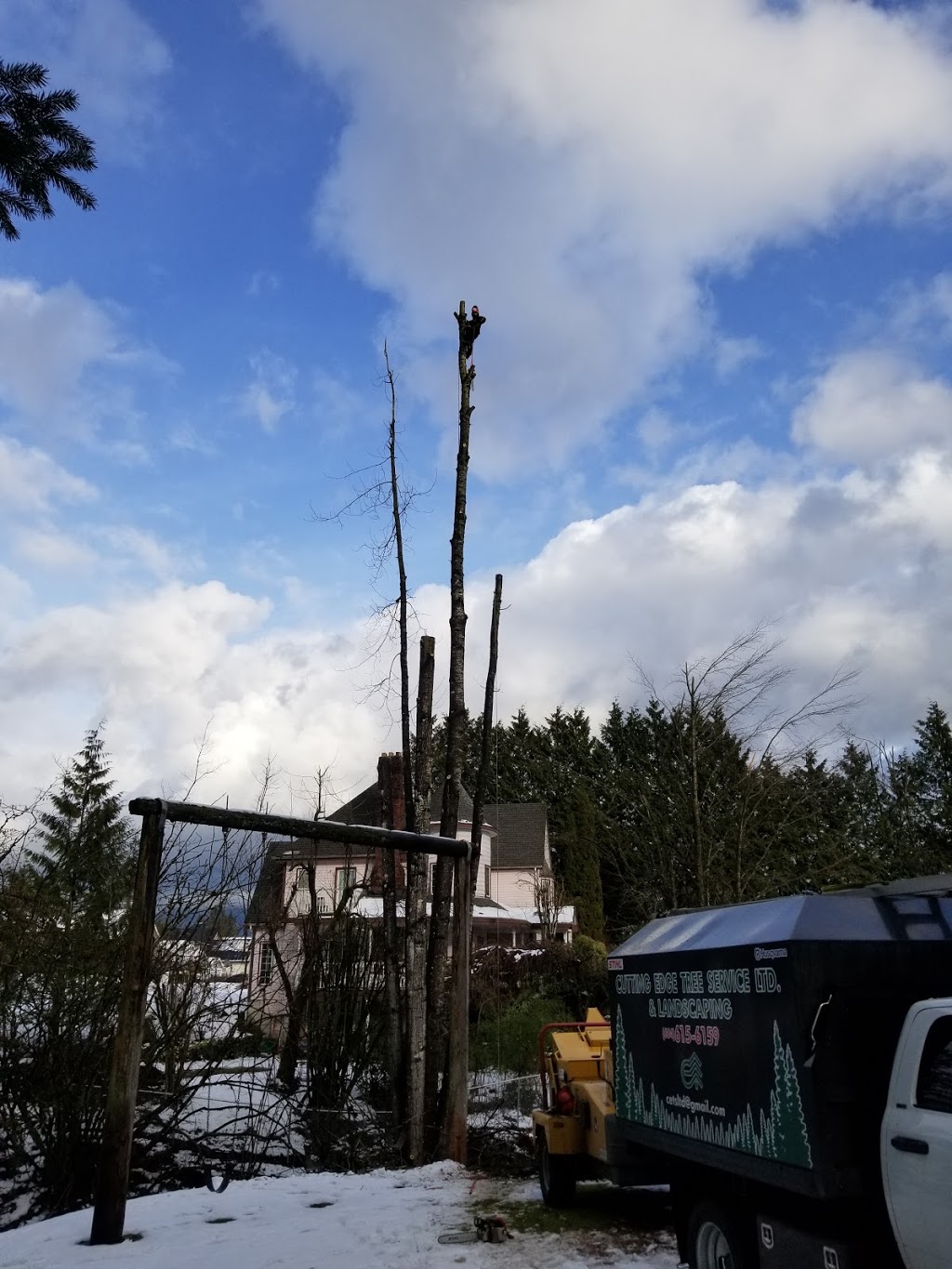 Cutting Edge Tree Service Ltd. | 8597 Henderson St, Mission, BC V2V 7P9, Canada | Phone: (604) 615-6159