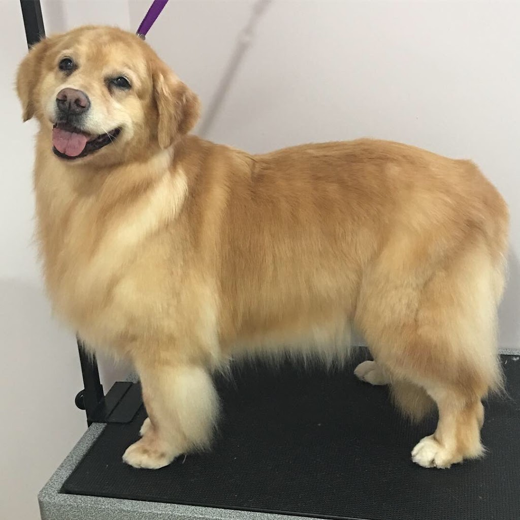 Goodfellow Pet Services | 8997 96 Ave, Fort Saskatchewan, AB T8L 1E3, Canada | Phone: (780) 910-4182