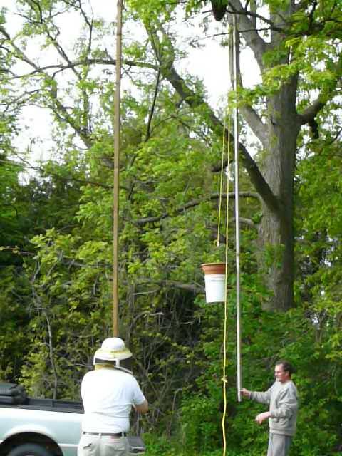 Kingsburgh Apiaries - Bee Quest Honey | 927438 County Rd 8, Bright, ON N0J 1B0, Canada | Phone: (519) 632-9852